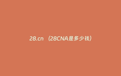 28.cn （28CNA是多少钱）