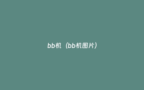 bb机（bb机图片）